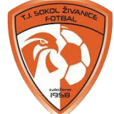 https://img.jcqjcy.com/img/football/team/5477d301041e00b2de35d5eeea2fabb4.png